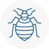Bed Bug Extermination In Moss Bank