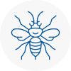 Moss Bank Hornet Nest Removals