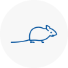 Mice Exterminators In Moss Bank