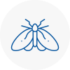 Moth Control Specialists In Moss Bank