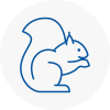 Moss Bank Rodent Removals