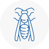 Moss Bank Wasp Nest Removal